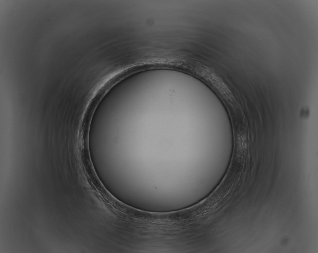 X0000095680628200801081103