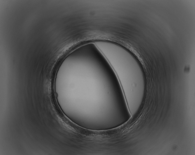 X0000095680629200801081103