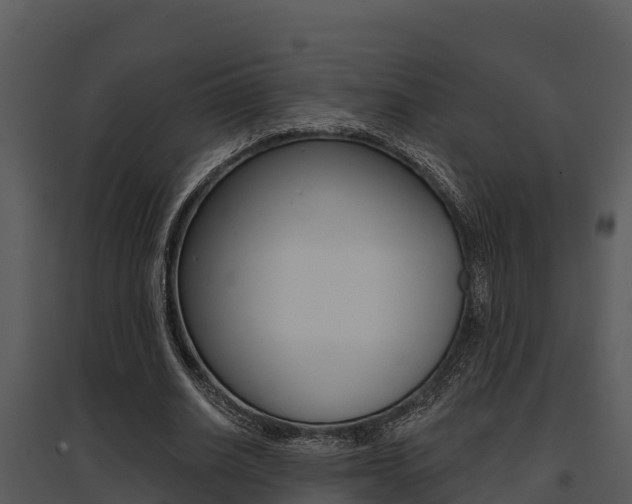 X0000095680630200801081103