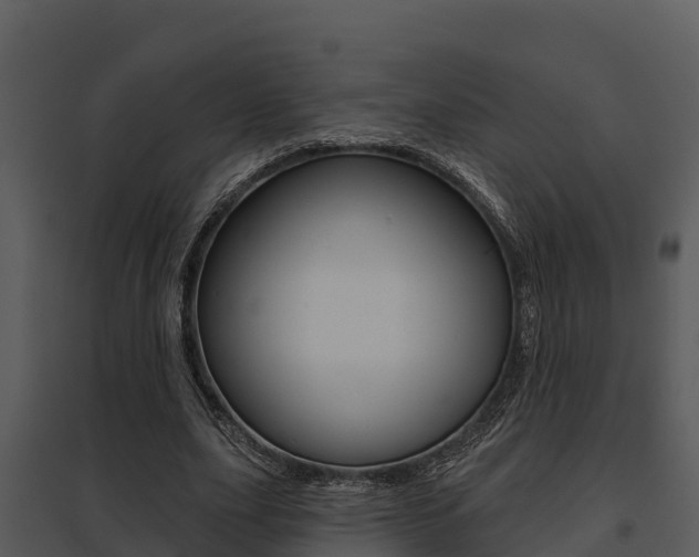 X0000095680631200801081103