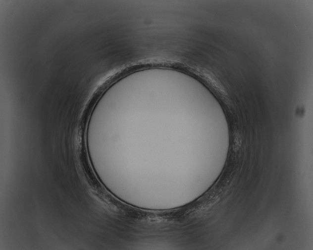 X0000095680632200801081103