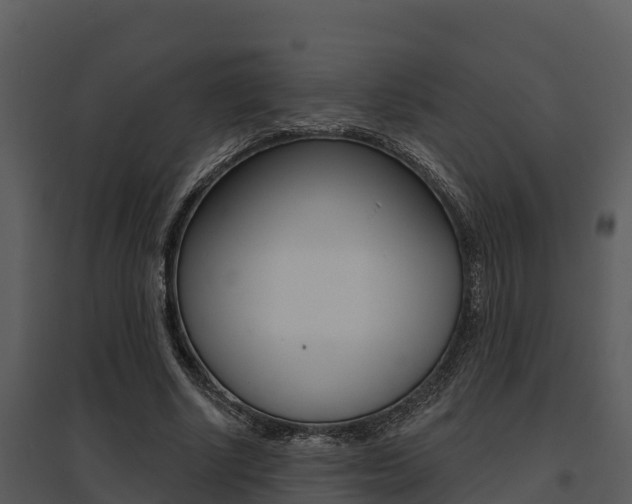 X0000095680634200801081103