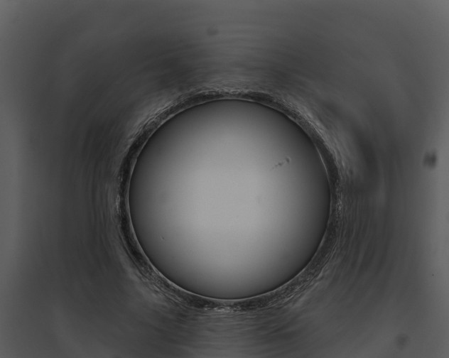 X0000095680635200801081103