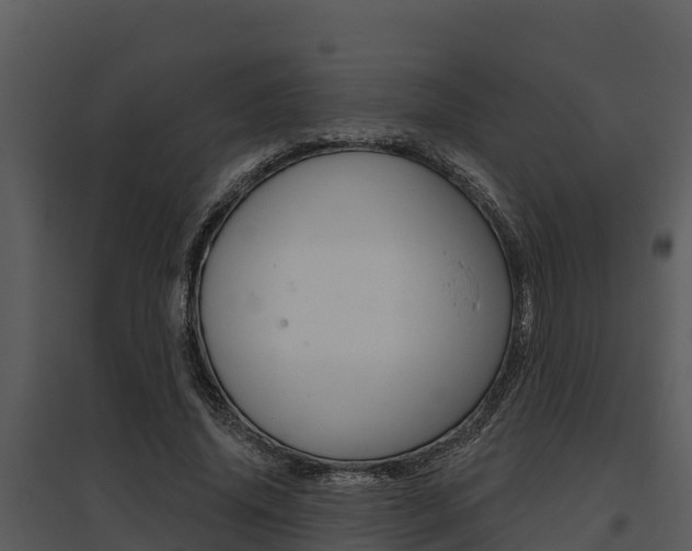 X0000095680636200801081103
