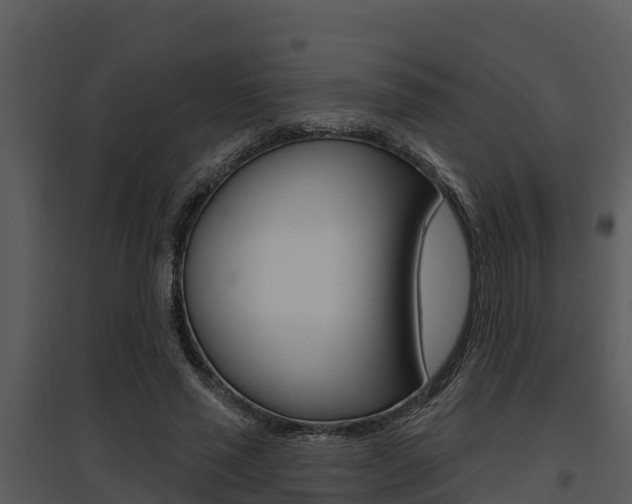 X0000095680637200801081103