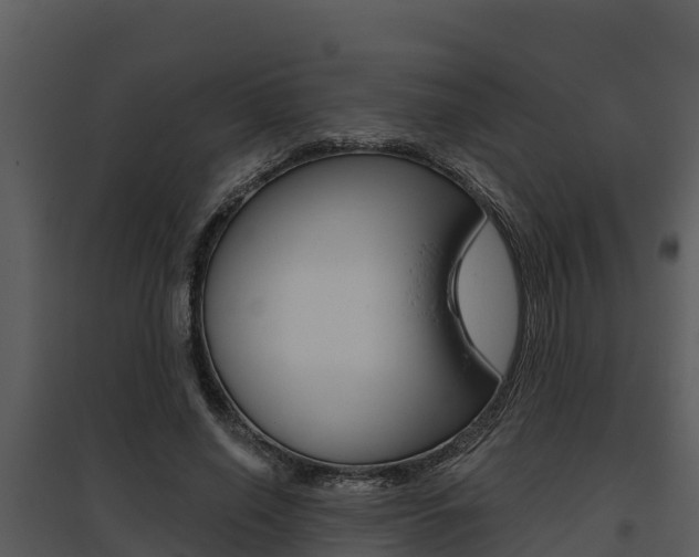 X0000095680638200801081104
