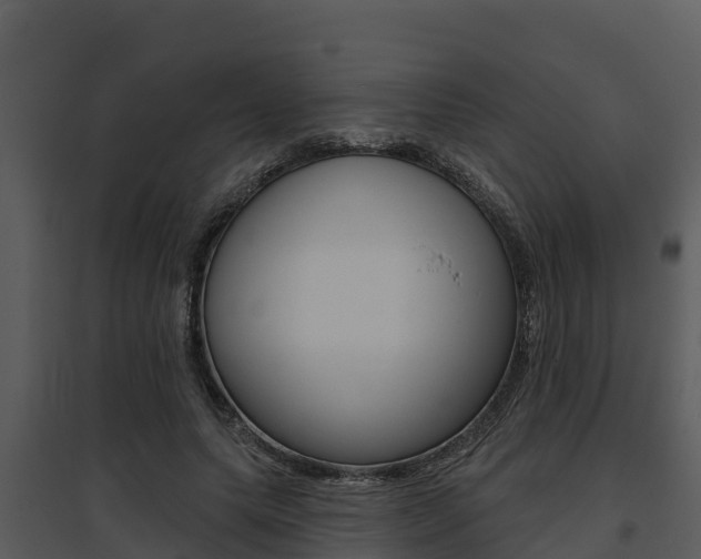 X0000095680639200801081104