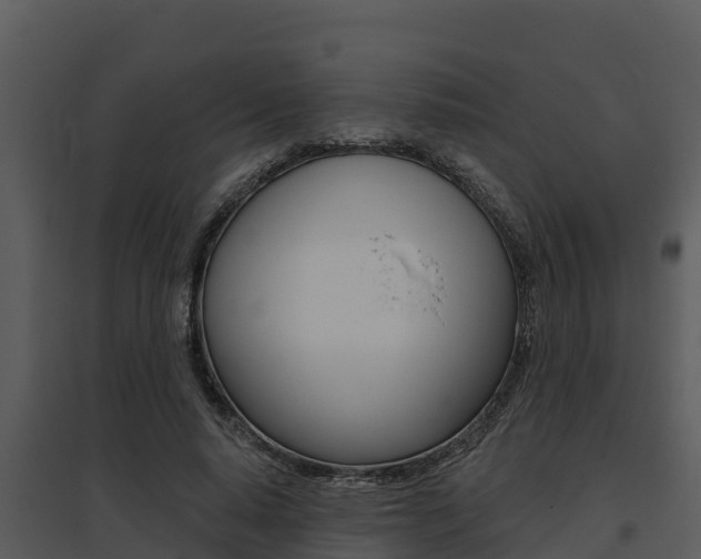 X0000095680640200801081104