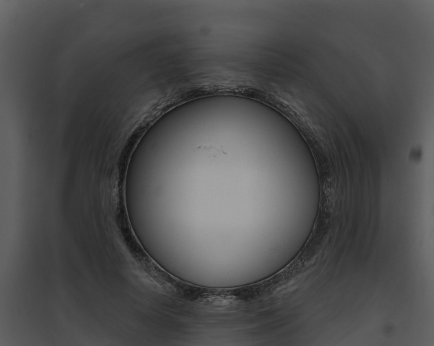 X0000095680642200801081104