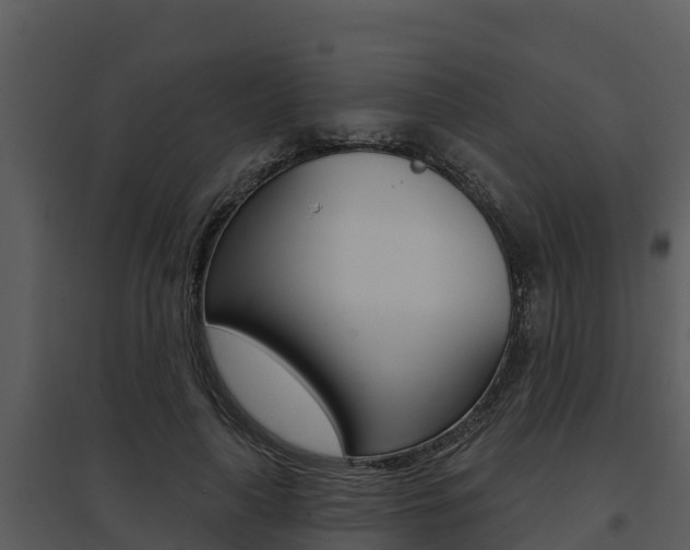 X0000095680643200801081104