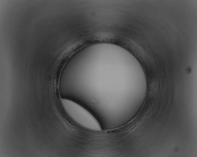 X0000095680644200801081104