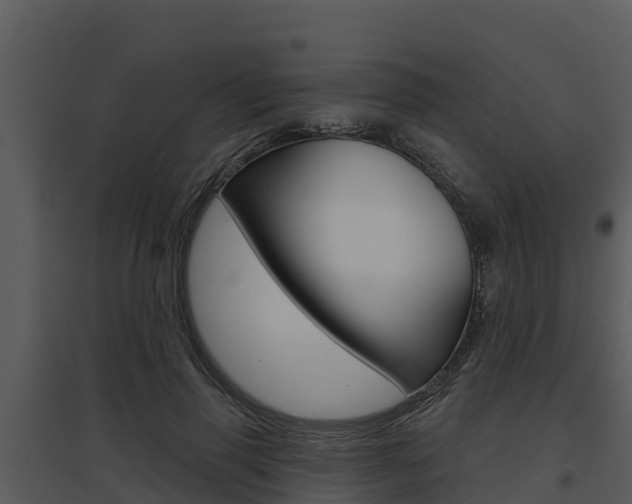 X0000095680645200801081104