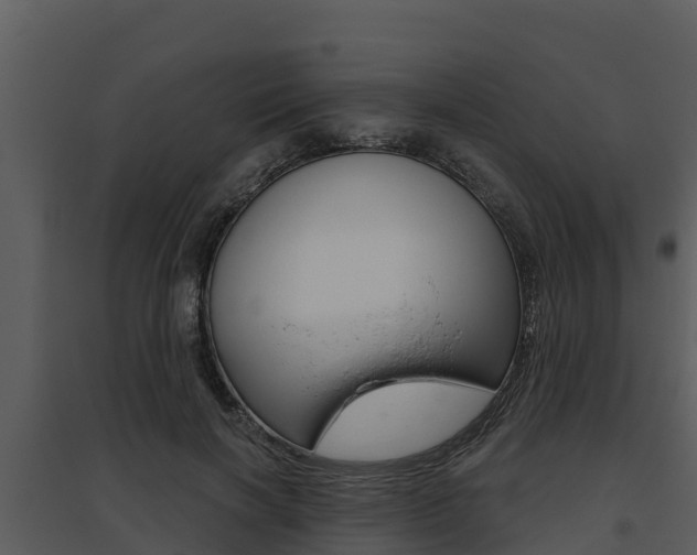 X0000095680646200801081104
