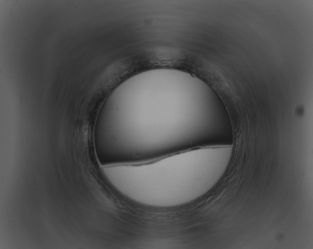 X0000095680647200801081104