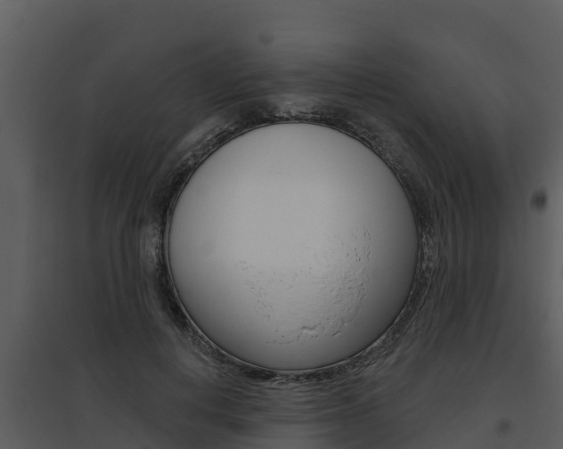 X0000095680648200801081104