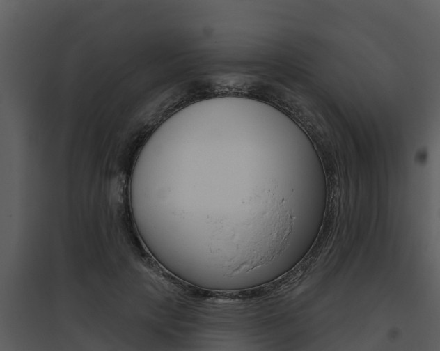 X0000095680649200801081104