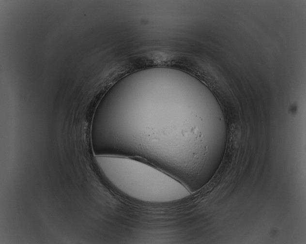 X0000095680650200801081104