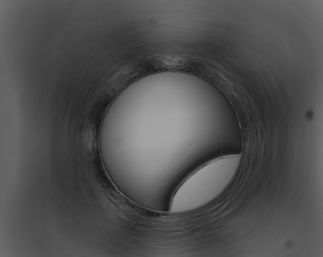 X0000095680651200801081104