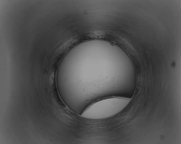 X0000095680652200801081104