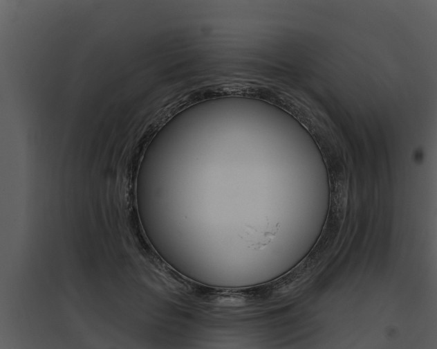 X0000095680653200801081104
