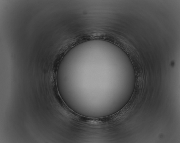 X0000095680654200801081104