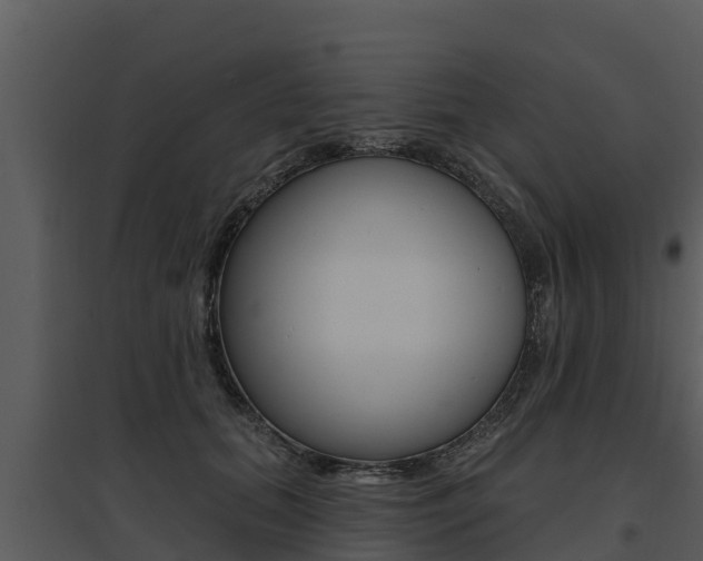 X0000095680655200801081104