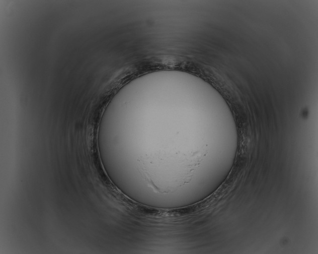 X0000095680656200801081104