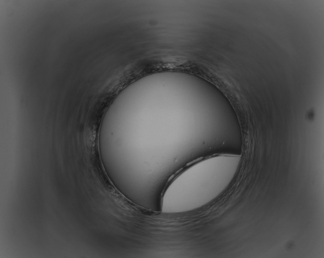 X0000095680657200801081104