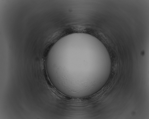 X0000095680658200801081104