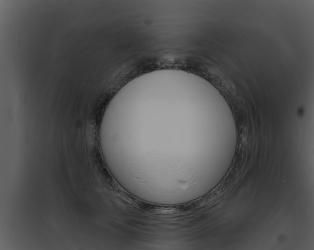 X0000095680659200801081104