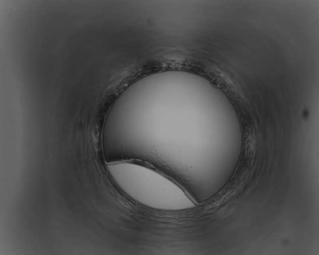 X0000095680661200801081104