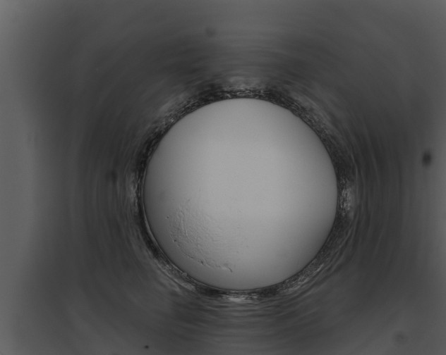 X0000095680662200801081104