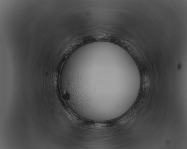 X0000095680664200801081104