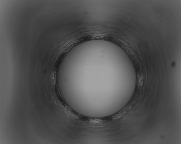 X0000095680666200801081104
