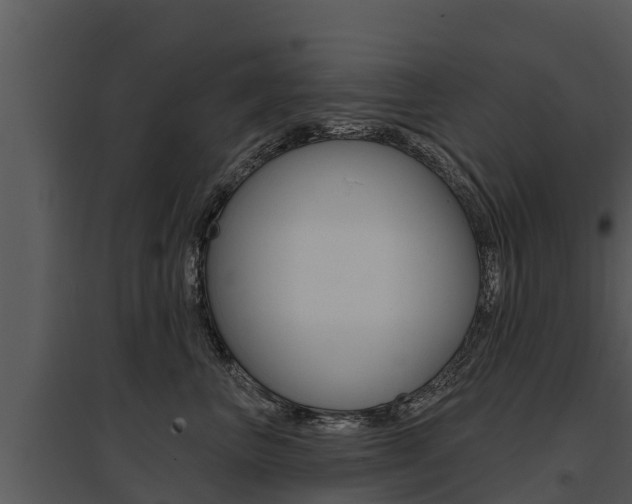 X0000095680667200801081104