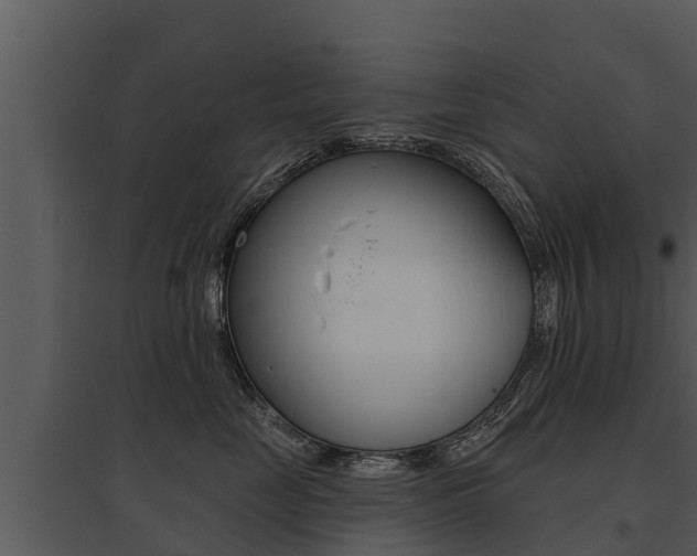 X0000095680669200801081104