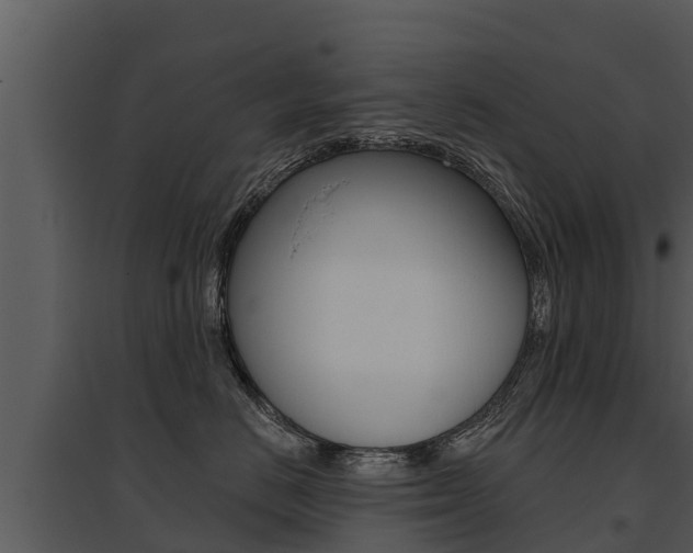 X0000095680670200801081104