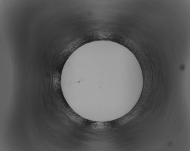 X0000095680672200801081104