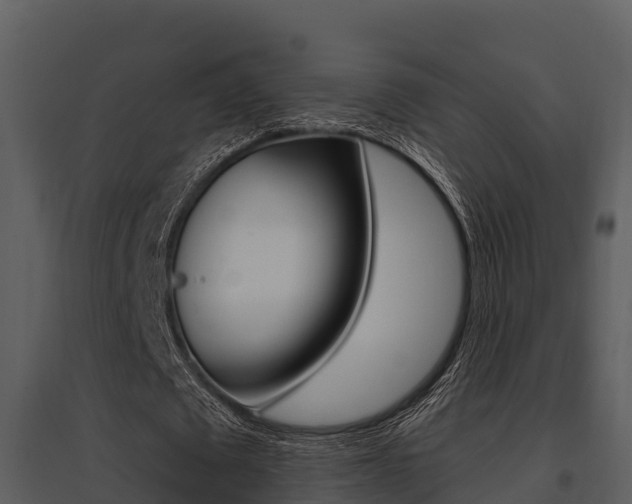 X0000095680673200801081103