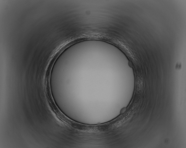 X0000095680674200801081103