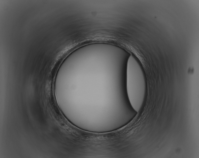 X0000095680675200801081103