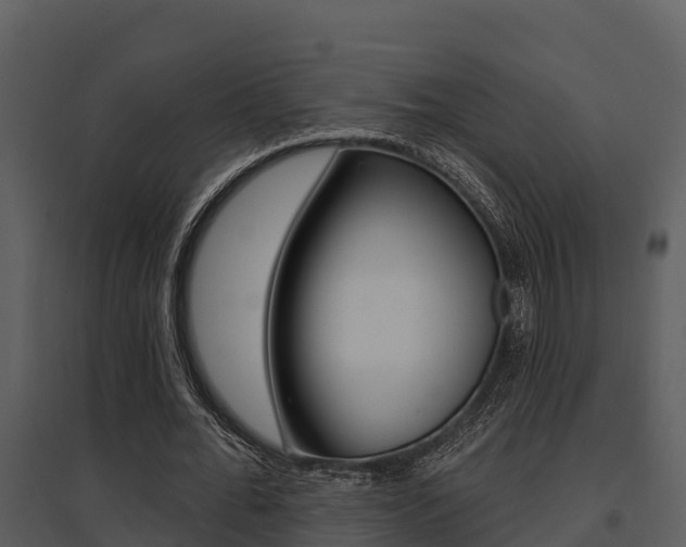 X0000095680676200801081103