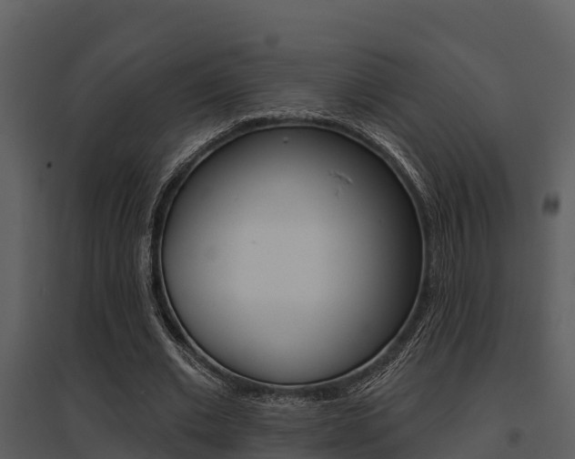 X0000095680677200801081103