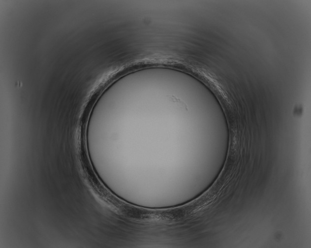 X0000095680678200801081103