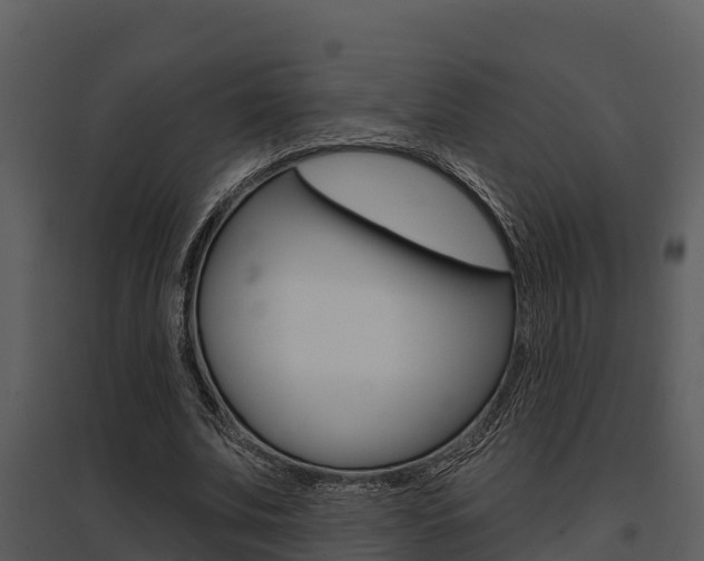 X0000095680679200801081103
