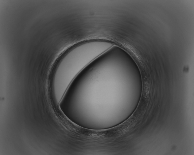 X0000095680680200801081103