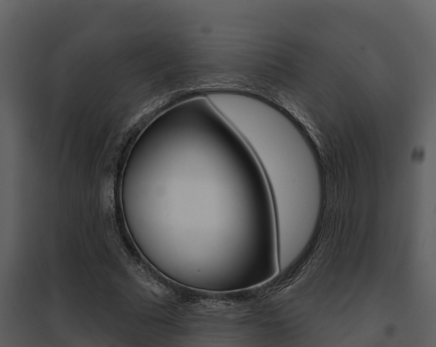 X0000095680681200801081103