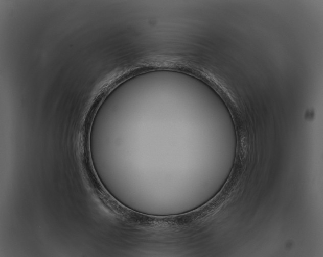 X0000095680682200801081103