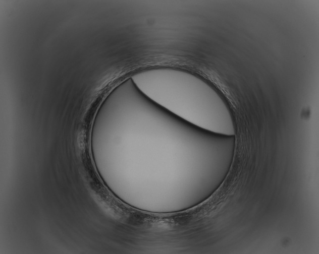 X0000095680683200801081103