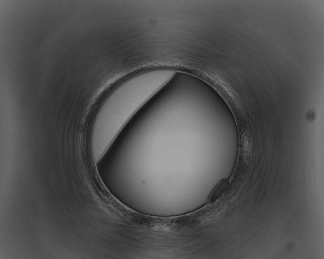 X0000095680684200801081103